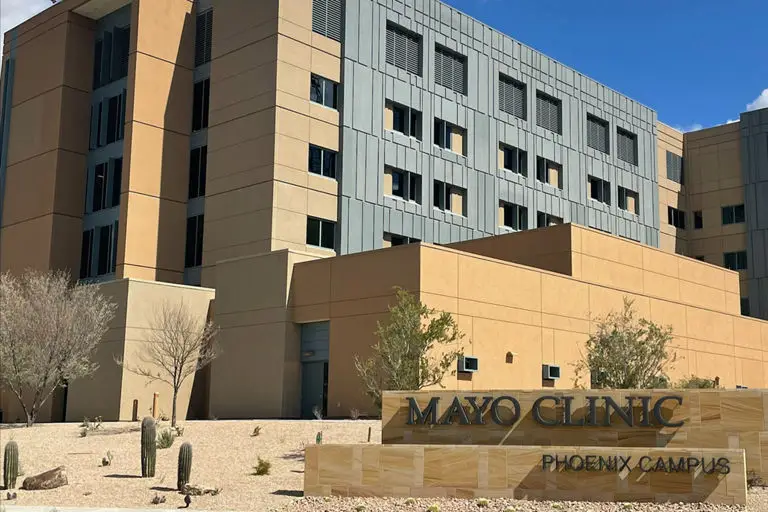 Conference room with geometric wooden wall, gray cushioned chairs, and blue upholstered seating arranged neatly.