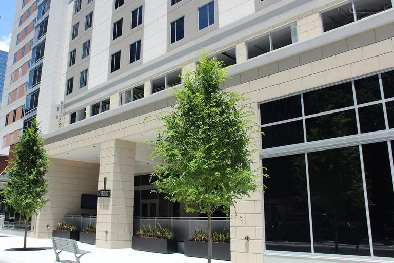 Modern commercial building entrance with cream stone exterior, floor-to-ceiling windows, young trees, and bench seating